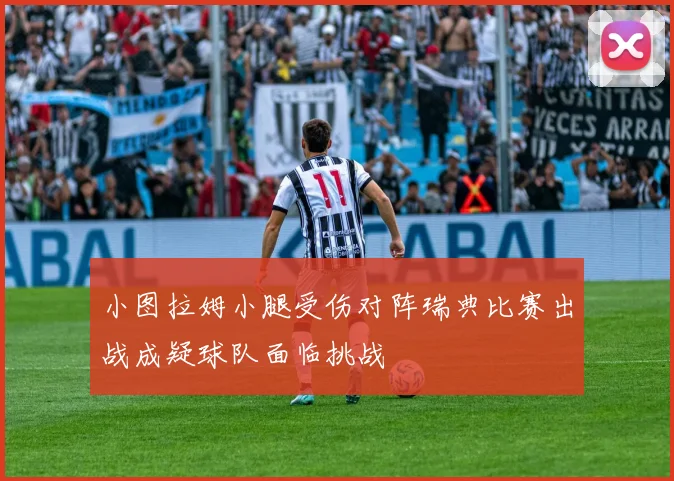 小图拉姆小腿受伤对阵瑞典比赛出战成疑球队面临挑战